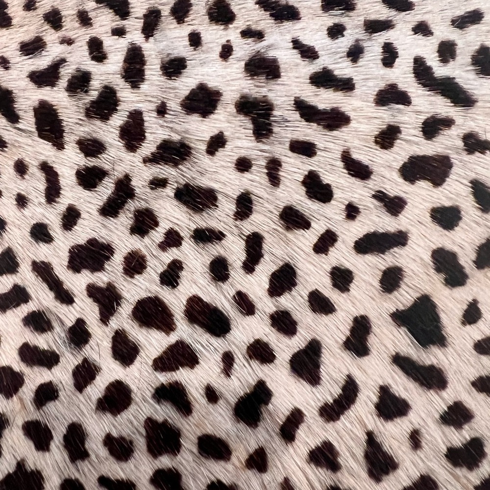 17x17 Square Animal Print pillows